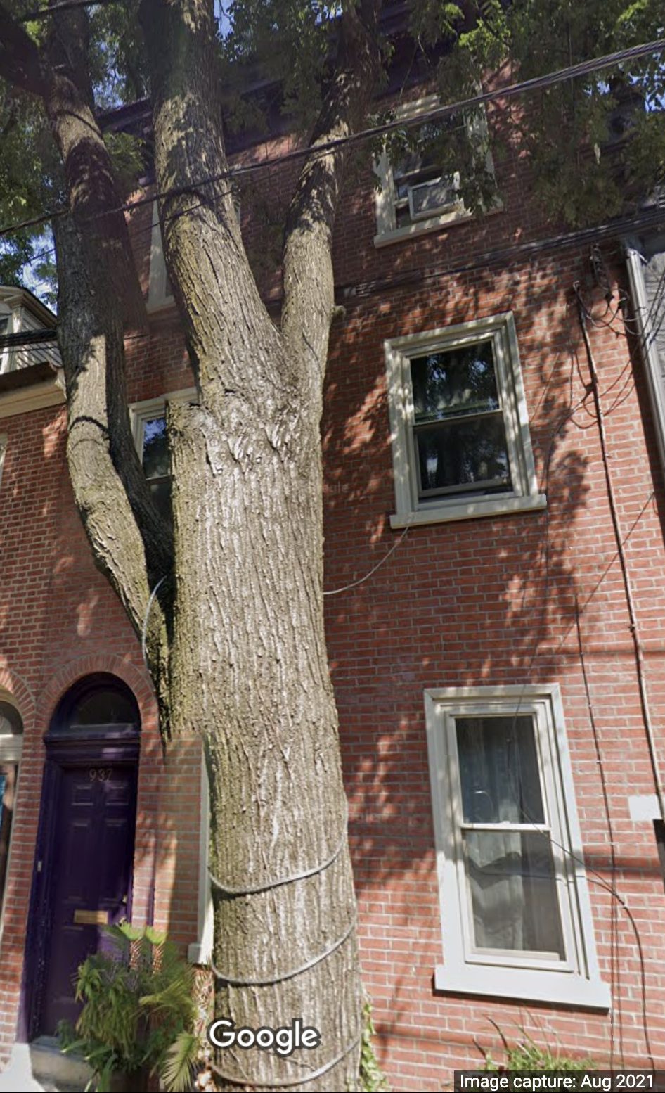 This house was James Griffeth's house - at 113 Apple street