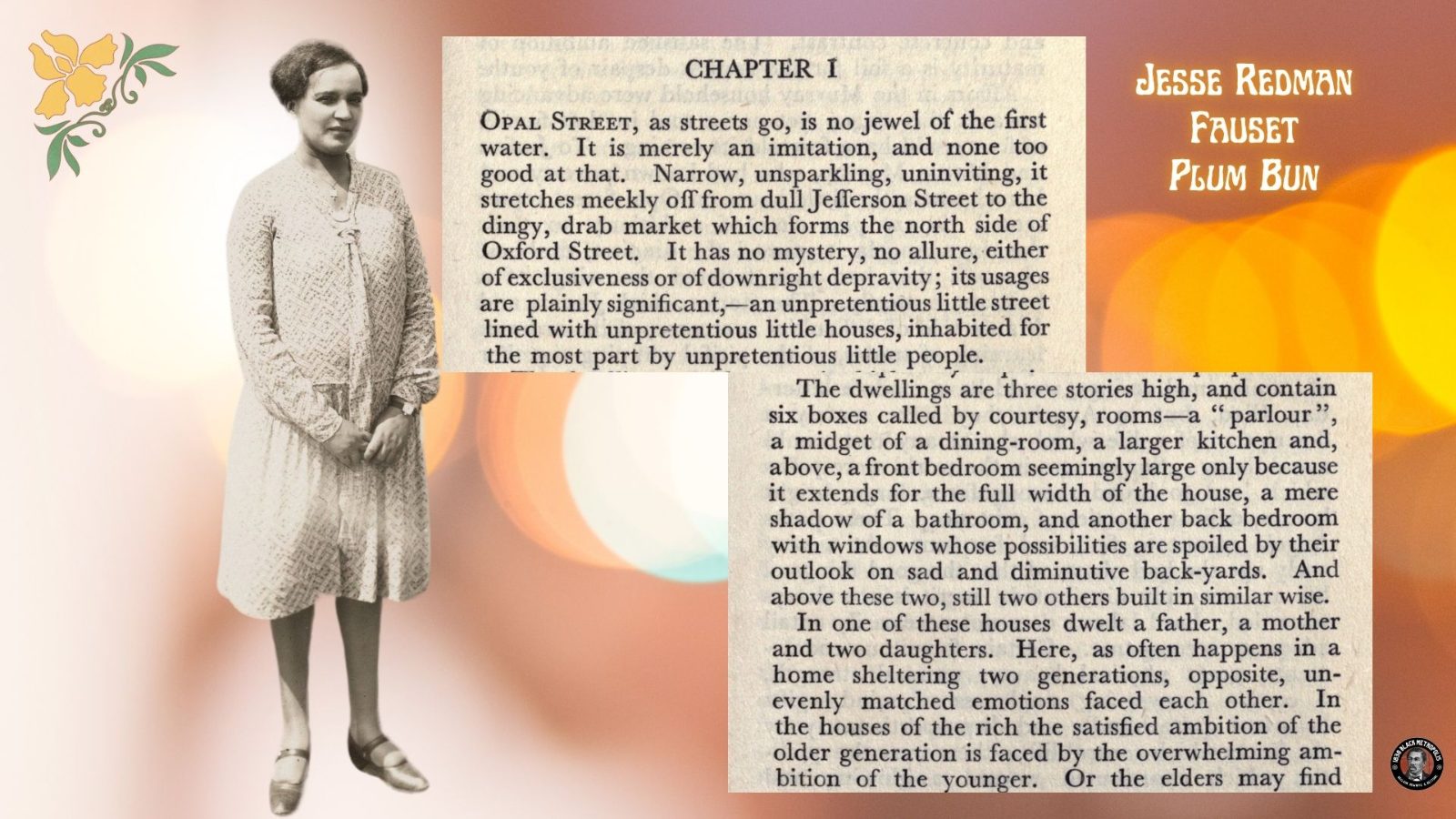 Jesse Redman Fauset's book Plum Bun, starts with a description of a simple street like Paschall's Alley.